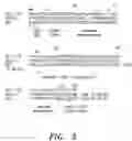 Fig. 05 - Humanised antibodies