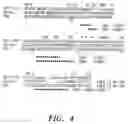 Fig. 06 - Humanised antibodies
