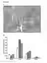 Fig. 05 - Angiogenesis inhibiting molecules, their selection, production and their use in the treatment of cancer