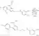 Fig. 92 - Use of small molecule compounds for immunopotentiation