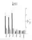 Fig. 04 - Cellular vaccines and immunotherapeutics and methods for their preparation