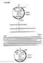 Fig. 30 - Chimeric immunogens