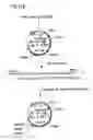 Fig. 37 - Chimeric immunogens