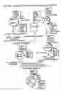 Fig. 40 - Chimeric immunogens