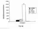 Fig. 09 - Compounds and methods for immunotherapy and diagnosis of tuberculosis