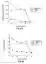 Fig. 12 - Compounds and methods for immunotherapy and diagnosis of tuberculosis