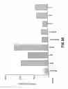 Fig. 14 - Compounds and methods for immunotherapy and diagnosis of tuberculosis