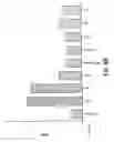 Fig. 15 - Compounds and methods for immunotherapy and diagnosis of tuberculosis
