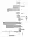 Fig. 17 - Compounds and methods for immunotherapy and diagnosis of tuberculosis