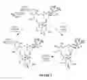 Fig. 03 - Stabilized formulation of ivermectin feed premix with an extended shelf life