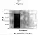 Fig. 02 - Composition for the control of pathogenic microorganisms and spores