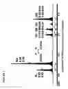 Fig. 06 - Method for isolating terpene trilactones (ginkgolides, bilobadide) from leaves and pharmaceutical powders of ginkgo biloba