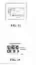 Fig. 08 - Compositions and methods for prostate and kidney health and disorders, an herbal preparation