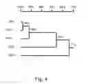 Fig. 05 - Extract from the roots or stems of urticaceae for hepatitis B therapy