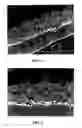 Fig. 02 - Polymer composite fibrous coating on dipped rubber articles and method