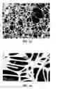 Fig. 09 - Multi purpose cleaning product including a foam and a web