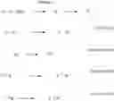 Fig. 24 - Optical recording media with triplet-sensitized isomerization