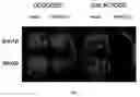Fig. 03 - Cell-based assay for identifying peptidase inhibitors