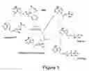 Fig. 02 - Methods and compositions for identifying therapeutic compounds with GS-7340 ester hydrolase