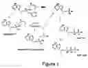 Fig. 02 - Methods and compositions for identifying therapeutic compounds with GS-9005 ester hydrolase B