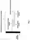 Fig. 02 - Methods and compositions for making locus-specific arrays