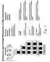 Fig. 02 - Look-through mutagenesis