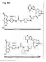 Fig. 07 - Cell-signaling assays