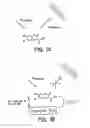 Fig. 02 - Photon reducing agents for fluorescence assays