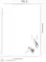 Fig. 09 - Transmissible spongiform encephalopathy detection in cervids, sheep and goats