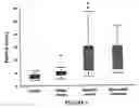 Fig. 02 - Marker for inflammatory conditions