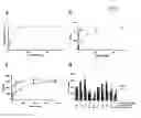 Fig. 02 - Compositions for manipulating the lifespan and stress response of cells and organisms