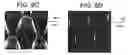 Fig. 12 - Diagnostic devices and apparatus for the controlled movement of reagents without membranes