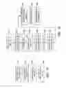 Fig. 12 - Attachment of integrated circuit structures and other substrates to substrates with vias