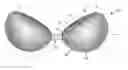 Fig. 01 - Attachable breast form enhancement system