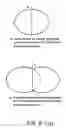 Fig. 22 - Apparatus and methods for the volumetric and dimensional measurement of livestock