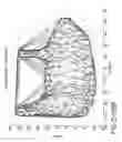 Fig. 35 - Apparatus and methods for the volumetric and dimensional measurement of livestock