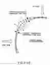 Fig. 43 - Apparatus and methods for the volumetric and dimensional measurement of livestock