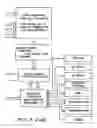Fig. 45 - Apparatus and methods for the volumetric and dimensional measurement of livestock
