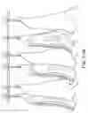 Fig. 72 - Apparatus and methods for the volumetric and dimensional measurement of livestock