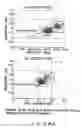 Fig. 77 - Apparatus and methods for the volumetric and dimensional measurement of livestock