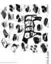Fig. 85 - Apparatus and methods for the volumetric and dimensional measurement of livestock