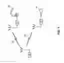 Fig. 02 - Modular wireless multimedia device