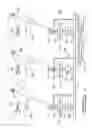 Fig. 02 - Content delivery coordinator apparatus and method