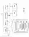 Fig. 06 - Networked telephone system