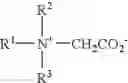 Fig. 04 - Ordered liquid crystalline cleansing composition with suspended air