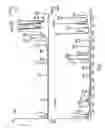 Fig. 02 - Allomone repulsive and kairomone attractive compositions for controlling arachnids