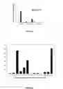 Fig. 02 - Prodrug composition