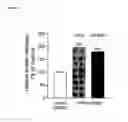 Fig. 18 - Combinations useful for the treatment of neuronal disorders
