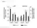 Fig. 19 - Combinations useful for the treatment of neuronal disorders