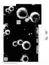 Fig. 09 - Compositions and methods for treating or preventing diseases of body passageways